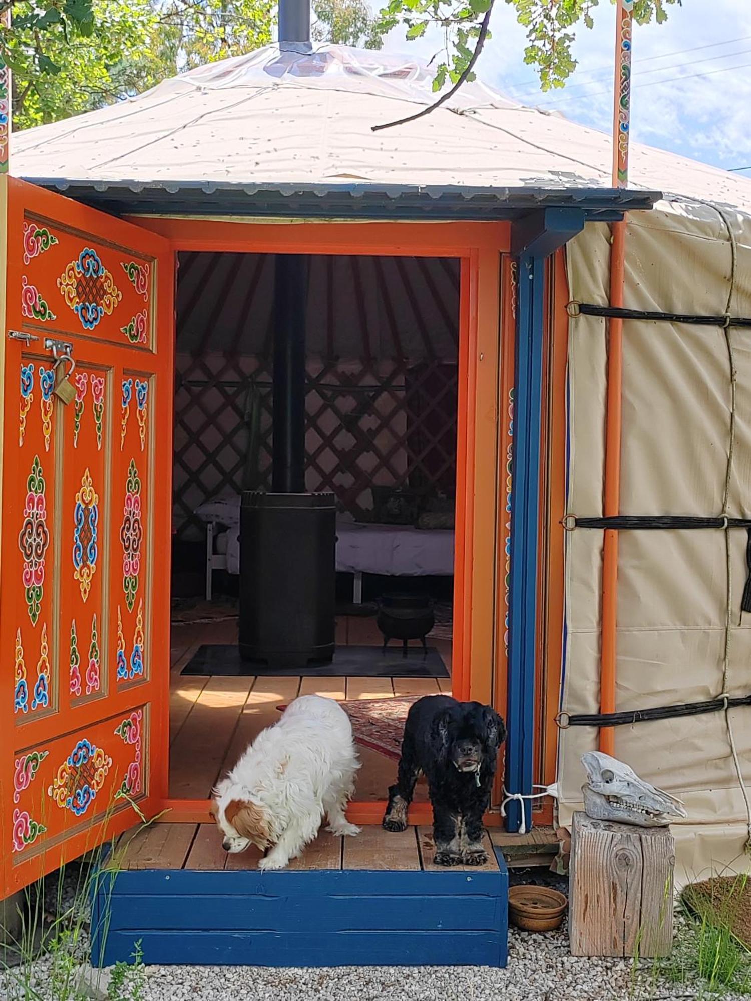 Yourte Nomade Luceram Exterior photo